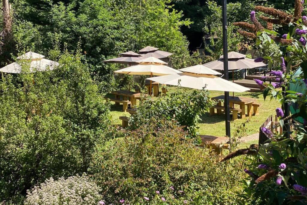 17Th Century Boutique Getaway In The Countryside Apartment Martin Mill Ngoại thất bức ảnh